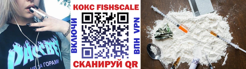 где купить   Адыгейск  COCAIN Fish Scale 