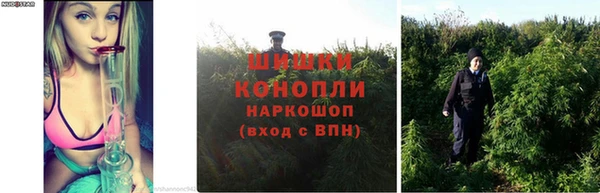 дмт Россошь